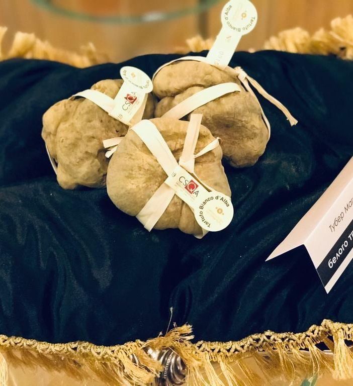 Castello di Grinzane Cavour: presentata a Mosca la XX edizione dell'asta mondiale del tartufo bianco