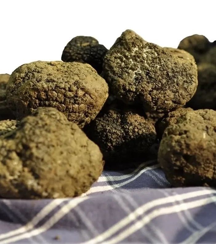 Tramonta definitivamente il 'Nero Monferrato'. Per promuovere il Nord Astigiano arriva 'Oro Monferrato'