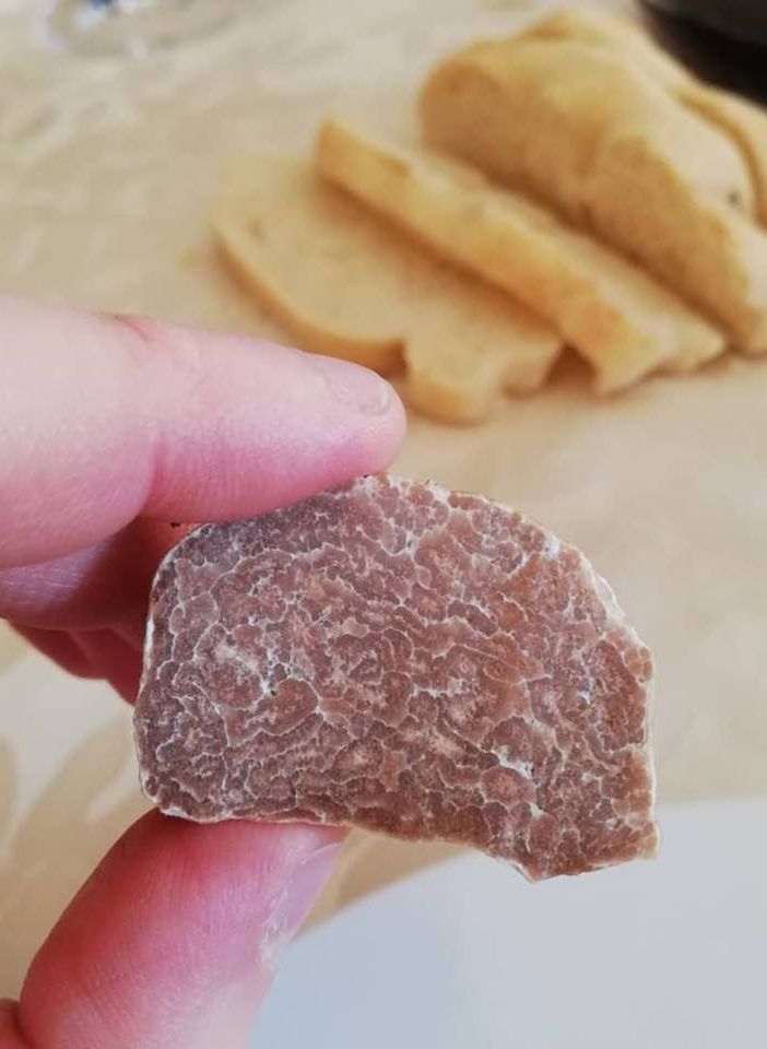 Il &quot;mondo dei tartufi&quot; in un nuovo sito completamente dedicato al prezioso fungo ipogeo