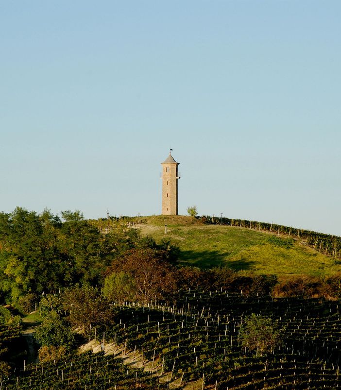 Le torre dei Contini a Canelli