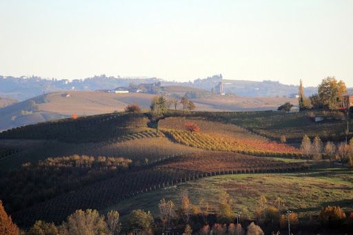 Coronavirus, nasce il tavolo tecnico di monitoraggio, targato Ente Turismo Langhe Monferrato Roero