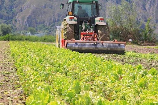 Agricoltura: dalla Regione in arrivo 12,7 milioni di euro per le aziende agricole