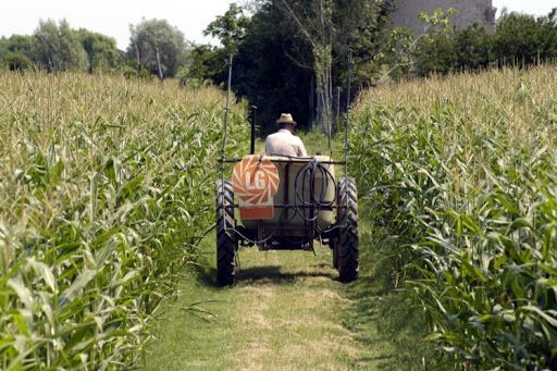 Coronavirus, emergenza anche per l'agricoltura: &quot;Per la manodopera priorità anche agli italiani&quot;
