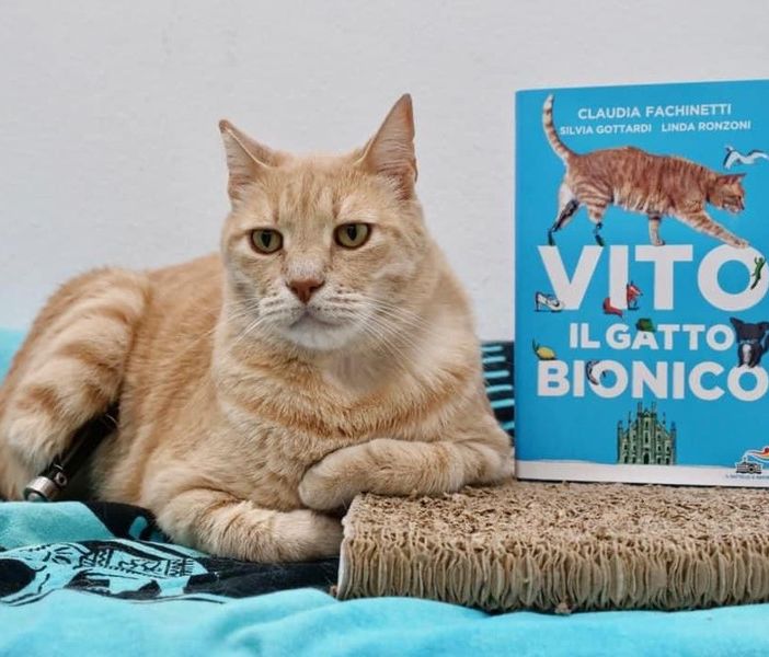 Villanova: la storia di Vito &quot;il gatto bionico&quot; diventa un libro sull'amicizia che non conosce diversità