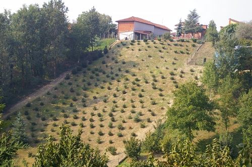 Aree collinari di Valleandona. No alla variante dal Movimento Stop al Consumo di Territorio Astigiano e del Forum Salviamo il Paesaggio