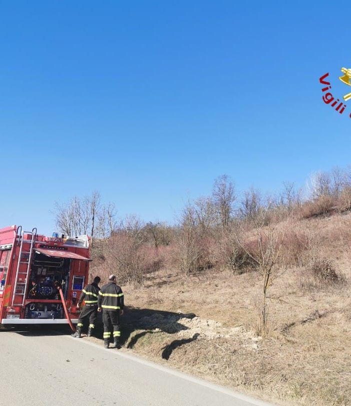 Immagine d'archivio di un incendio sterpaglie