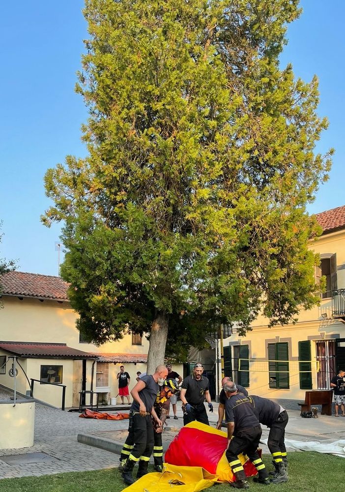 Si arrampica su albero di 10 metri per protesta. Salvato dai vigili del fuoco