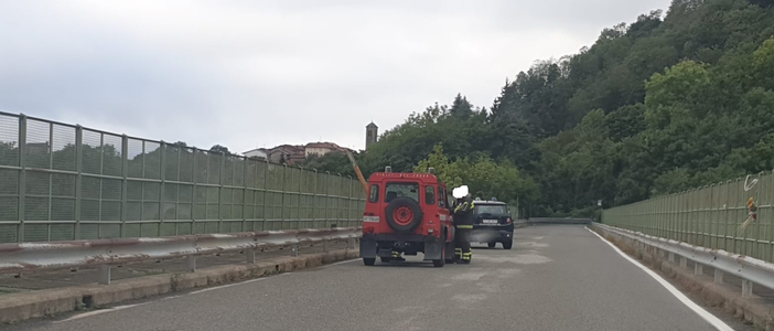 Foto NewsBiella
