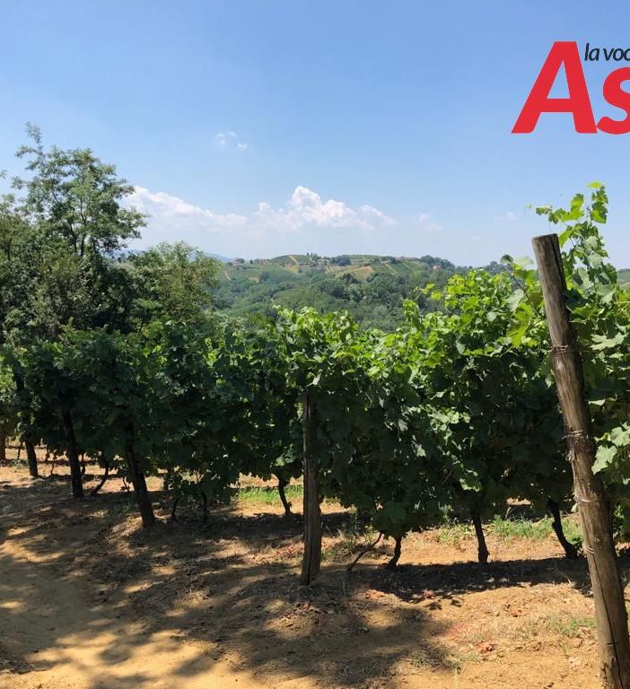 La verticale della Barbera d’Asti Docg Superiore ‘Sei Vigne Insynthesis’ ha aperto la due giorni di festeggiamenti della Cantina di Vinchio - Vaglio Serra [FOTOGALLERY]