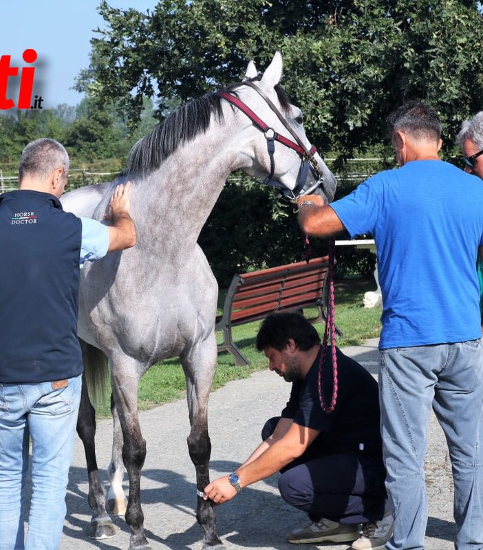 Le visite dello scorso anno (Merphefoto)