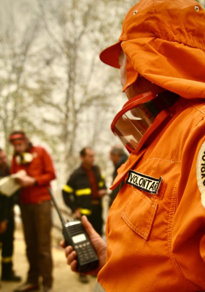 Incendi boschivi: rinnovata l'intesa tra Regione Piemonte e vigili del fuoco