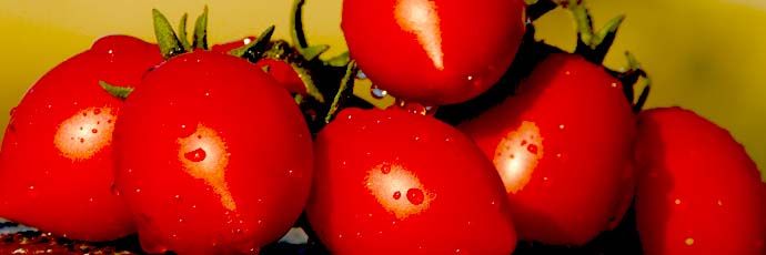 Immagine tratta dal sito www.fondazioneslowfood.com