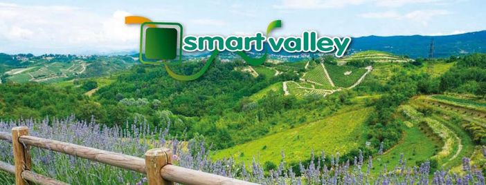 Si chiamerà Doc Valley il Distretto Diffuso del Commercio di Nizza Monferrato Si chiamerà Doc Valley il Distretto Diffuso del Commercio di Nizza Monferrato