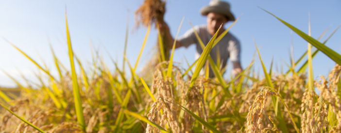 Investire sui giovani e sulla sicurezza delle produzioni. È l'appello di Confagricoltura alla Regione