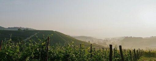 Immagine di archivio Immagine di archivio