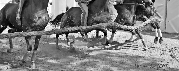 È ora di Palio! Tutti gli eventi tra Asti e provincia in questo primo weekend di settembre È ora di Palio! Tutti gli eventi tra Asti e provincia in questo primo weekend di settembre