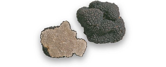 Quarantasette Comuni del nord Astigiano uniti nella promozione dell'"Oro Monferrato" Quarantasette Comuni del nord Astigiano uniti nella promozione dell'"Oro Monferrato"