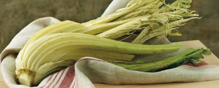 Cardo Gobbo di Nizza, una prelibatezza astigiana che piace anche all’estero