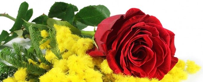In occasione dell'8 marzo, tante iniziative ad Asti per celebrare la donna