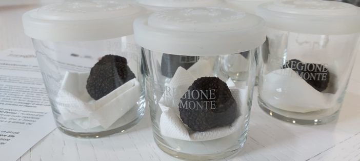 Alla scoperta dell'Oro del Monferrato: parte il nuovo brand per il rilancio turistico del Nord Astigiano