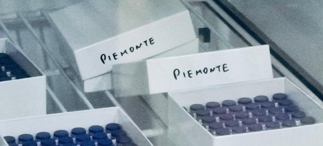 Vaccino anti Covid dosi del Piemonte