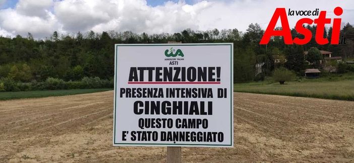 Uno dei cartelli affissi nell'Astigiano in aree danneggiate da fauna selvatica