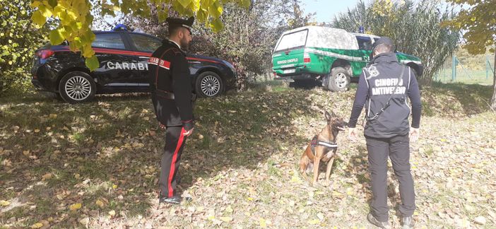 Bocconi di esche avvelenate destinate ai cani da tartufo a San Marzano Oliveto