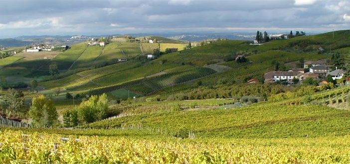 "Distretto industriale Valle Belbo: se ci sei batti un colpo", riflessioni del gruppo Insieme per Canelli "Distretto industriale Valle Belbo: se ci sei batti un colpo", riflessioni del gruppo Insieme per Canelli