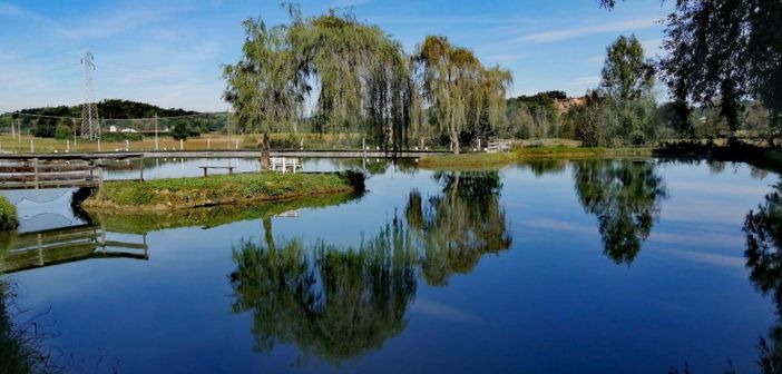 Improvvisazioni e rilassamento all'oasi del Lago Stella con il Movimento Creativo