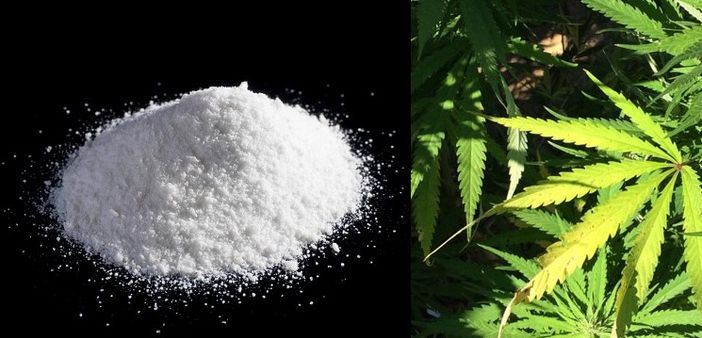 Immagine di repertorio Immagine di repertorio