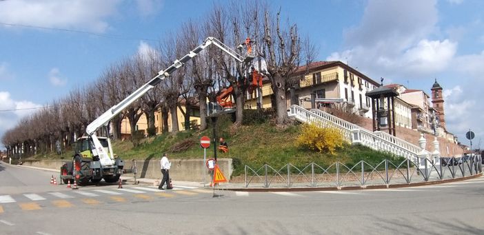 "Pulizie di primavera" a San Damiano, potature di alberi e riqualificazione aree verdi