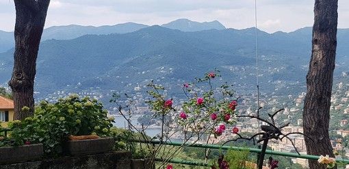 A.R.T.E. Genova mette all'asta i c.d. “immobili di pregio” a Sestri Levante, Zoagli e Camogli