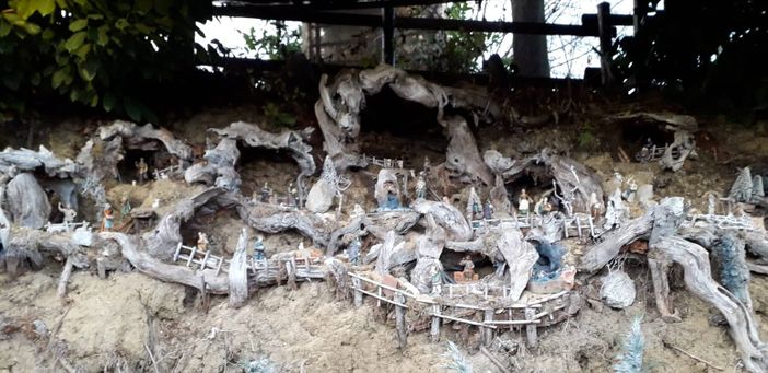 A Cisterna d'Asti un presepe è allestito tra le radici di una riva in Bricco Scaglia