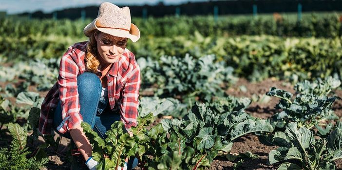 Ismea “Generazione Terra”: fino al 100% di sostegno ai giovani agricoltori per l’acquisto di terreni Ismea “Generazione Terra”: fino al 100% di sostegno ai giovani agricoltori per l’acquisto di terreni