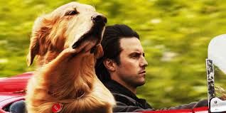 Al Lumière di Asti continua "Attraverso i miei occhi". Dalla prossima settimana arriva Antonio Albanese Al Lumière di Asti continua "Attraverso i miei occhi". Dalla prossima settimana arriva Antonio Albanese