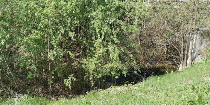 Anche quest'anno la passeggiata alla riscoperta del fiume Borbore