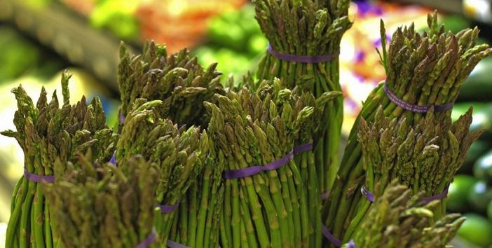 A Vinchio tornano gli asparagi Saraceni