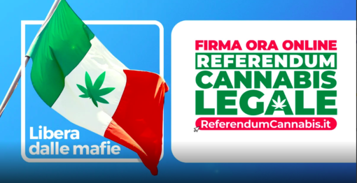 Referendum cannabis, anche nell'Astigiano diversi comuni inadempienti diffidati dai promotori