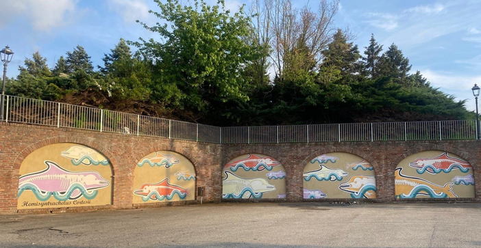 Inaugurato a Camerano Casasco il murales "Il delfino di Camerano": un ponte tra arte e paleontologia