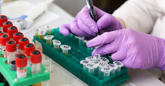 Coronavirus, ad Asti 9 guariti in più e nessun nuovo decesso Coronavirus, ad Asti 9 guariti in più e nessun nuovo decesso