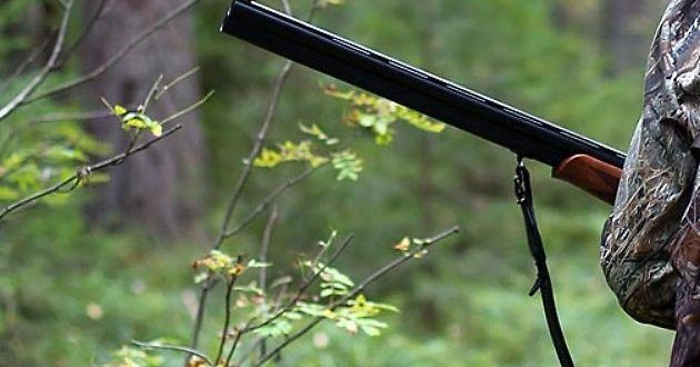 Immagine d'archivio, non correlata allo specifico episodio