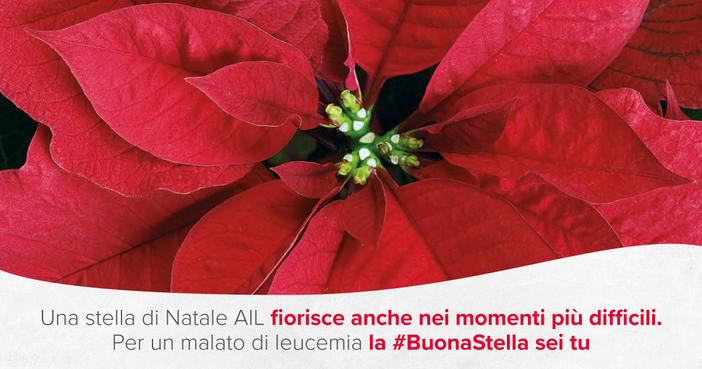 Il Covid non fermerà il sostegno ai malati di leucemie, linfomi e mielomi Il Covid non fermerà il sostegno ai malati di leucemie, linfomi e mielomi