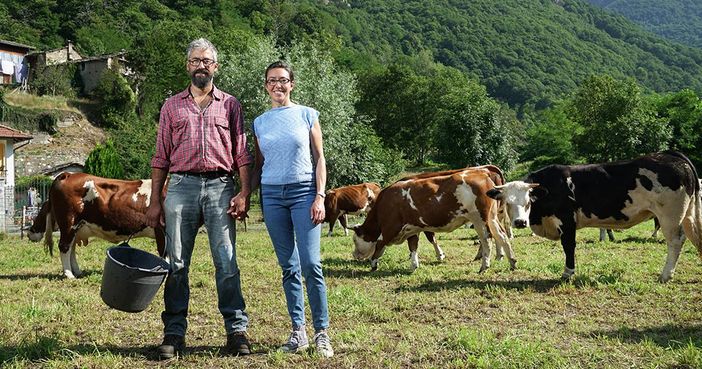 Alcune immagini tratte dalla campagna di comunicazione realizzata dalla Regione Piemonte