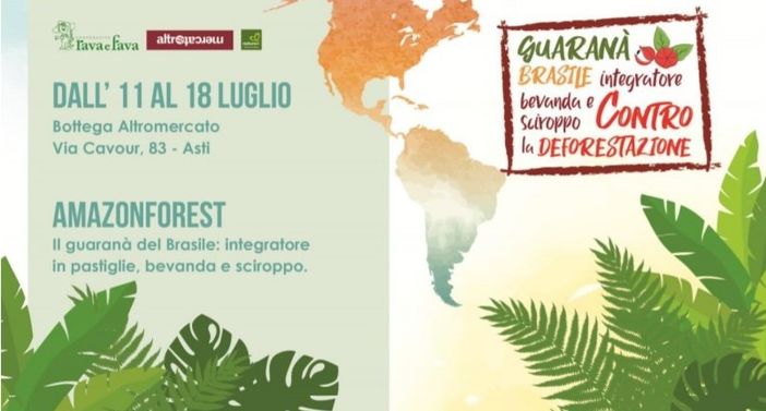 Il guaranà dei nativi brasiliani sarà disponibile alla Bottega Rava e Fava di via Cavour Il guaranà dei nativi brasiliani sarà disponibile alla Bottega Rava e Fava di via Cavour
