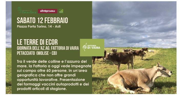 In casa Rava e Fava una giornata dedicata alla storica Fattoria di Vaira, sabato 12 febbraio In casa Rava e Fava una giornata dedicata alla storica Fattoria di Vaira, sabato 12 febbraio