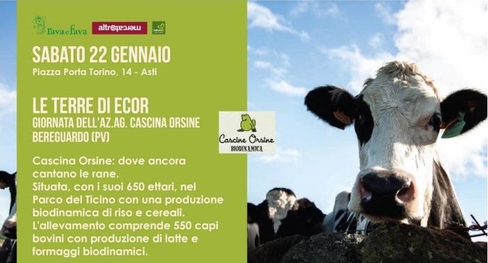 Locandina presentazione Cascine Orsine Locandina presentazione Cascine Orsine