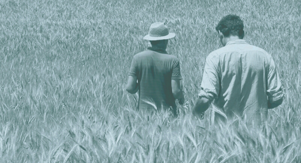 &quot;Coltiva i tuoi talenti&quot; con Naturasì e i suoi corsi di formazione dedicati al mondo bio