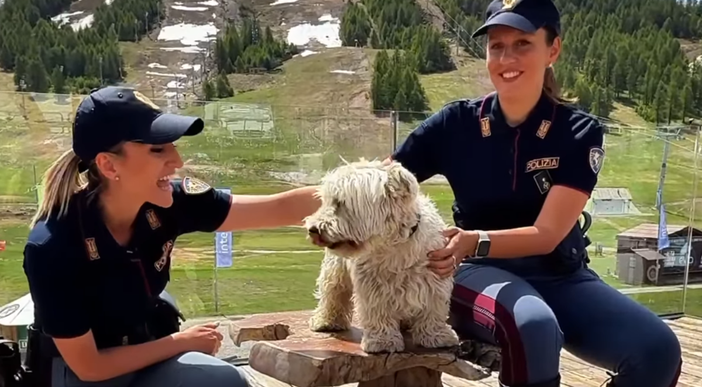 Vacanze sì, abbandoni no