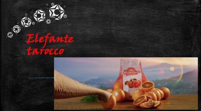 Fellici &amp; Veloci, la nuova Ricetta AutograFATA di Fata Zucchina. Oggi prepariamo l'elefante tarocco