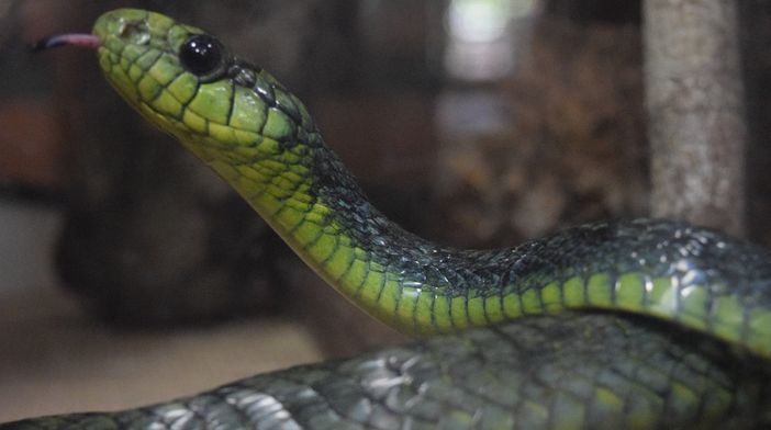 Immagine di repertorio